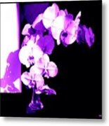 Orchids-purple-sunshine-shadows Metal Print
