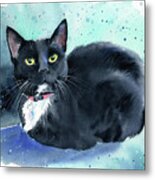 Oreo Tuxedo Cat Painting Metal Print