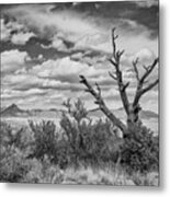 Organ Mountains National Monument Metal Print