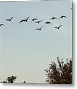 Out Flying Metal Print