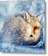 Outfoxing The Storm Metal Print