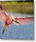 Outstretched Metal Print