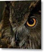 Owl Be Seeing You Metal Print
