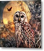 Owl In Moonlight Metal Print