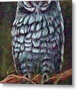 Owl, Out On A Limb Metal Print