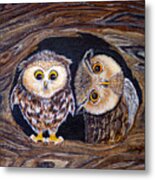 Owl Pair Metal Print