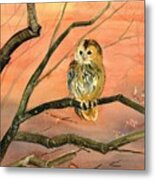 Owl Watercolor Art Metal Print