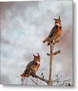 Owls At Dusk - Stormy Sky Metal Print