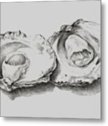 Oysters White Metal Print