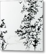 Pacific White Fir Evergreen Trees Black Ink Metal Print