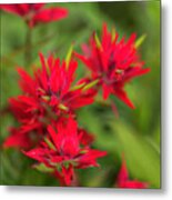 Paint Brush Bouquet Metal Print