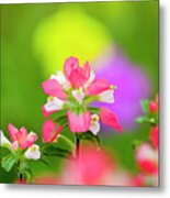 Paintbrush Dream Metal Print