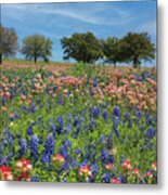 Paintbrushes And Bluebonnets Metal Print
