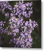 Pale Purple Wildflowers Metal Print