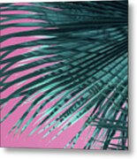 Palm Frond And Pink Sky, Summer On The Beach Metal Print