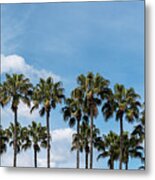Palm Trees Against Blue Sky, At Tropical Coast Metal Print