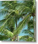 Palm Trees By The Ocean Metal Print