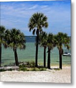 Palm Trees On Pensacola Beach Metal Print