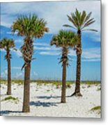 Palm Trees On The Beach Metal Print