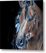 Pam's Ted Metal Print