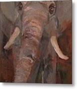 Pandora Pachyderm Metal Print