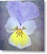 Pansy Against Textured Backgrouind Metal Print