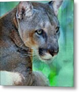 Panther Mickey Lp 1b Metal Print