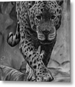 Panthera Metal Print