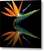 Paradise Reflection Metal Print