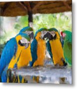 Parrot Conference Metal Print