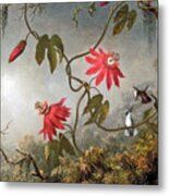 Passion Flowers And Hummingbirds Metal Print