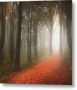 Path In Foggy Forest Metal Print