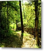 Path Out Of Summer Metal Print