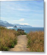 Path Overlooking Haystack Rock Metal Print