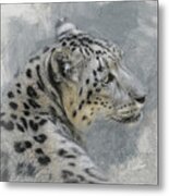 Patient Snow Leopard Metal Print