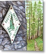 Pct Blaze Washington-2 Metal Print