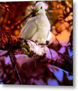 Peace On Earth Metal Print