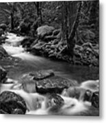 Peaceful Flow Black And White Metal Print