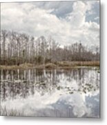 Peaceful Soft Reflections On The Everglades Metal Print