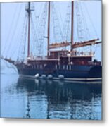 Peacemaker Into The Fog Metal Print