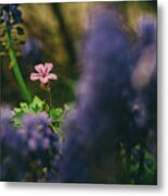 Peak Into The Garden Metal Print