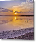 Pelican Sunset 9885 Metal Print
