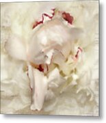 Peony - French Papers Metal Print