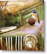 Perched On The Old Ford Metal Print