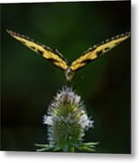 Perfect Landing Metal Print