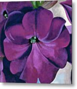 Petunias - Modernist Purple Flower Painting Metal Print