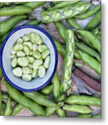 Picked Broad Beans And Bowl Metal Print