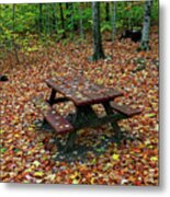Picnic Table. Autumn Metal Print