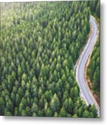 Picturesque Mountain Road Metal Print