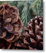 Pinecone Pair - Winter Metal Print